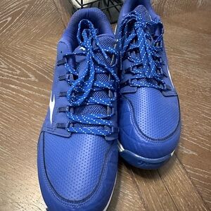 Mizuno blue softball cleats